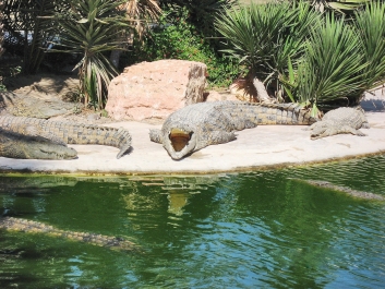 photo 352705