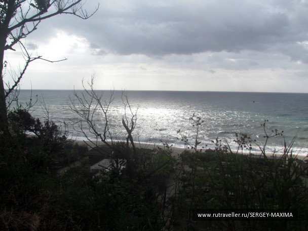 photo 376557