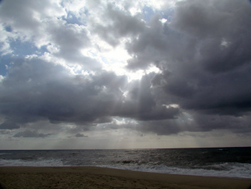 photo 376558