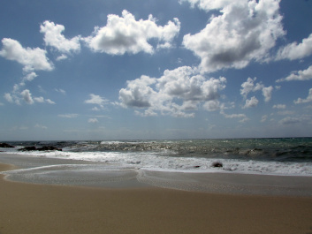 photo 376559