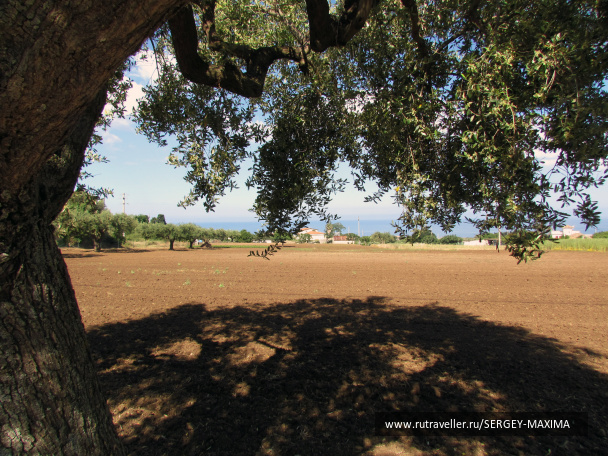 photo 376587