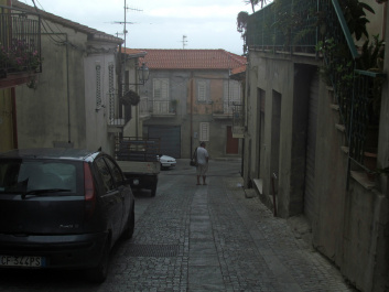 photo 379356