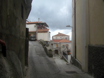 photo 379372