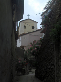 photo 379376