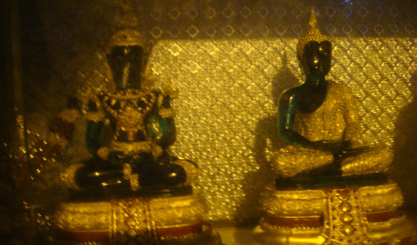 DSC05145