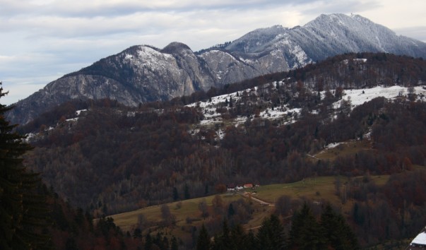Карпатские горы