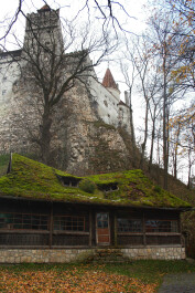 photo 43784