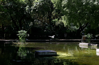 photo 516507