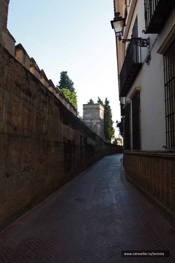 photo 516534