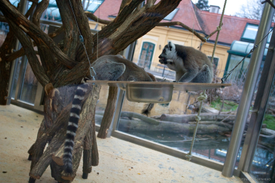 photo 628968