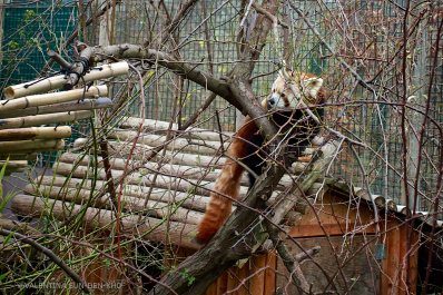 photo 635152