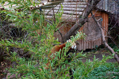 photo 635157