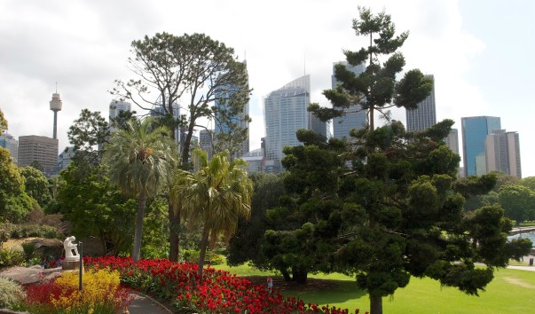 Royal Botanic Gardens
