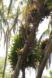 photo 923607