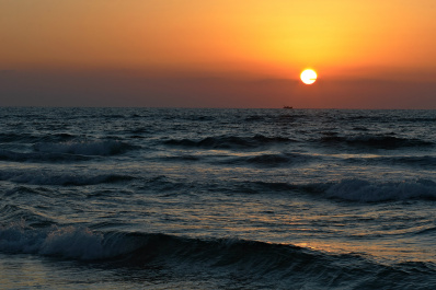 photo 49687