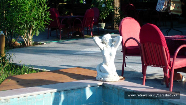 photo 224029