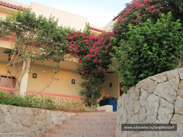 photo 461515