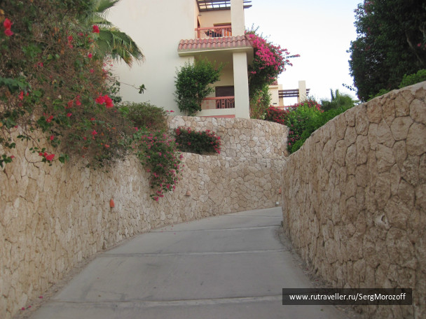 photo 461516