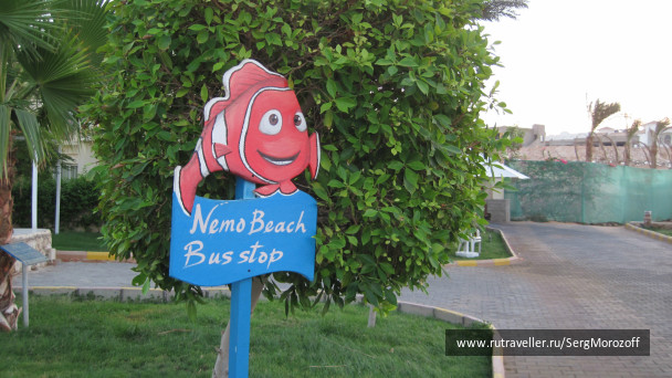 photo 461521