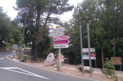 photo 181533