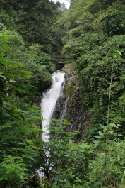 photo 287445