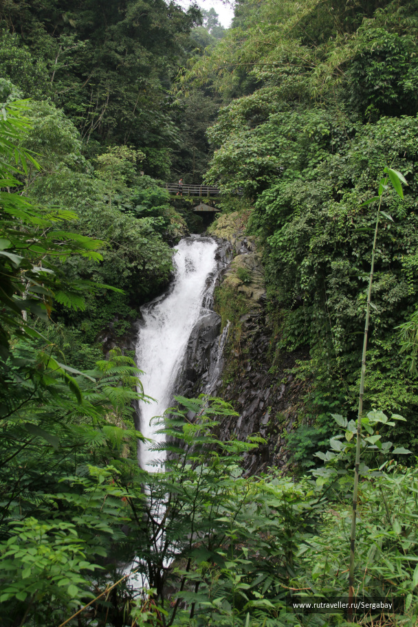 photo 287445