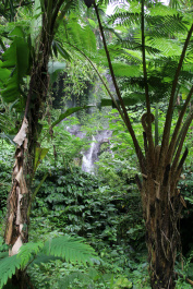 photo 287446