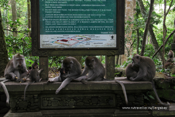 photo 308973