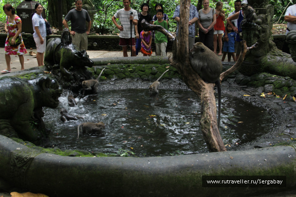photo 308974
