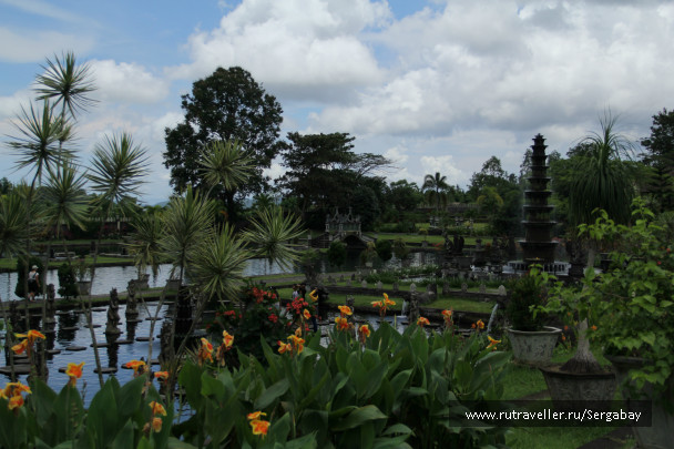 photo 424685