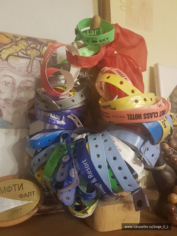 photo 1586196