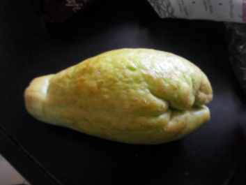photo 1090649