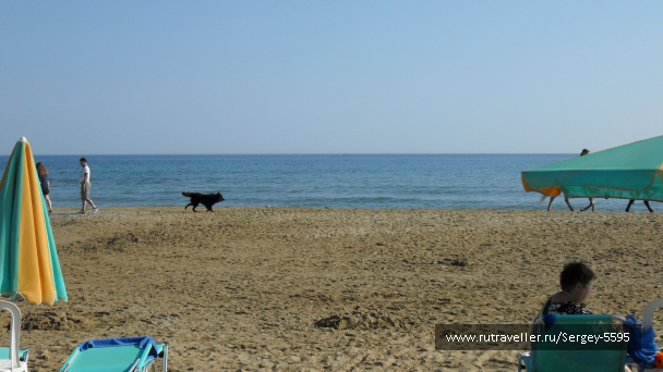 photo 1352670