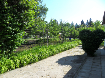 photo 1352983