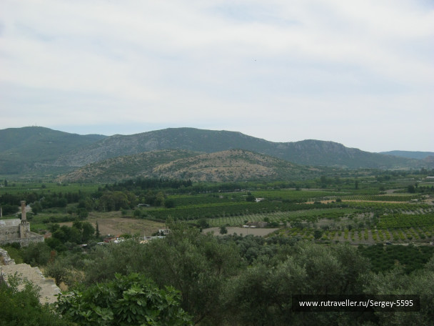 photo 1354019