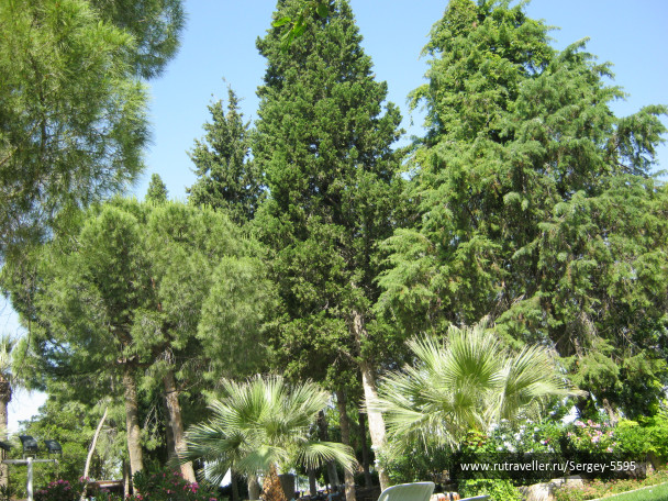 photo 1354476