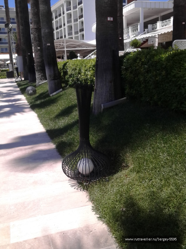 photo 1499696