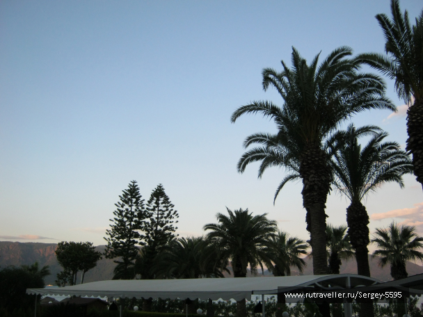 photo 1354897