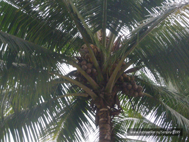 photo 1346528
