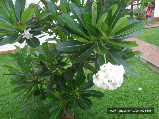 photo 1346542