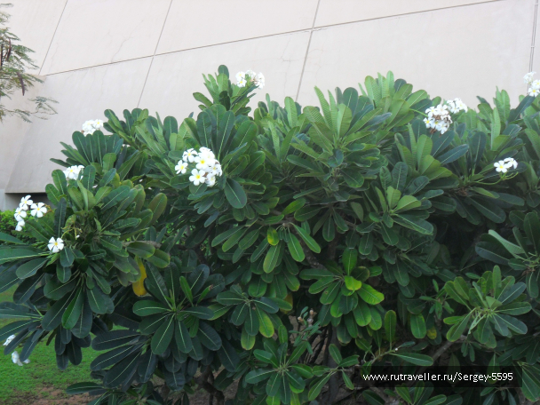 photo 1357344