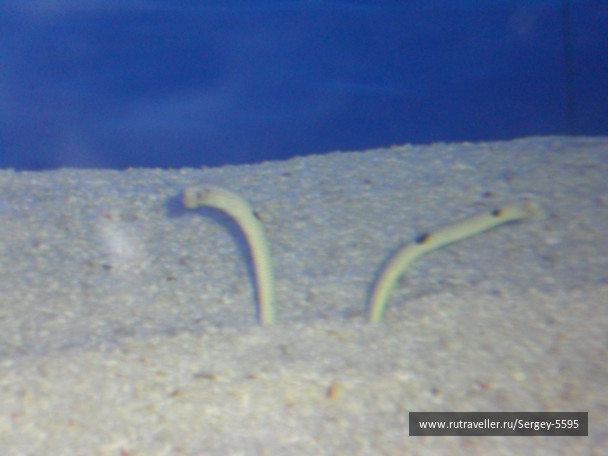 photo 1357749