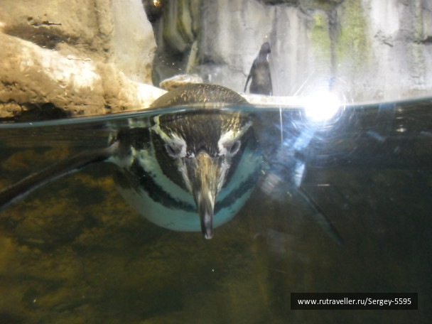 photo 1357751