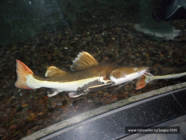 photo 1357759