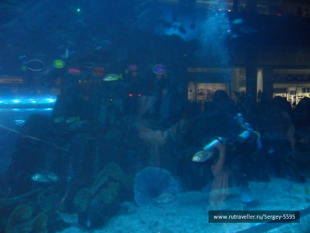 photo 1357771