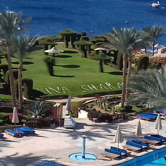 Siva Sharm