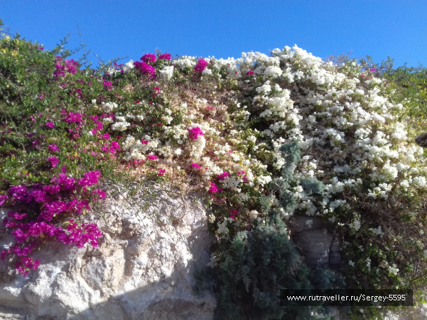 photo 1469151