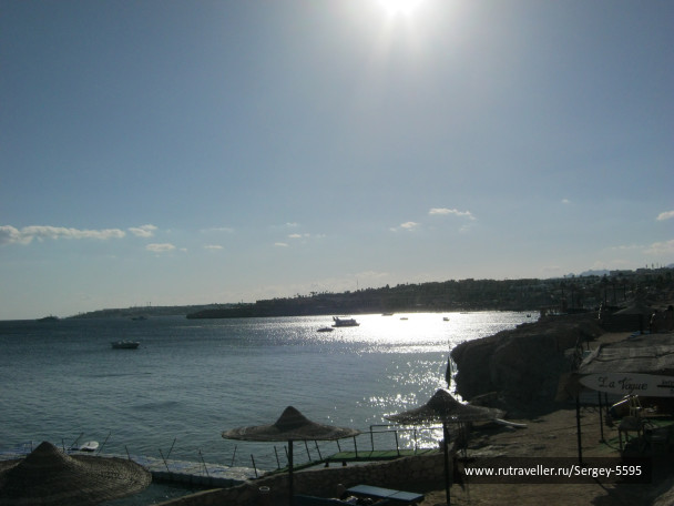 photo 1472485