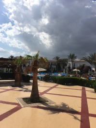 photo 1706350