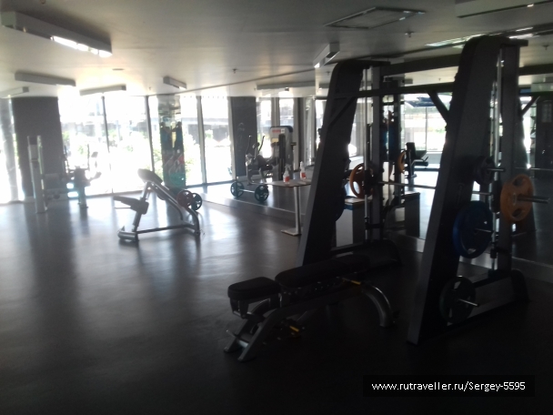 photo 1518595